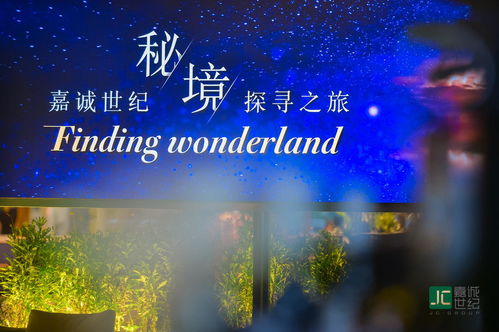 体验独一无二的魅力，探寻黎明特制版的绝美之处，让你的生活更加精彩！
