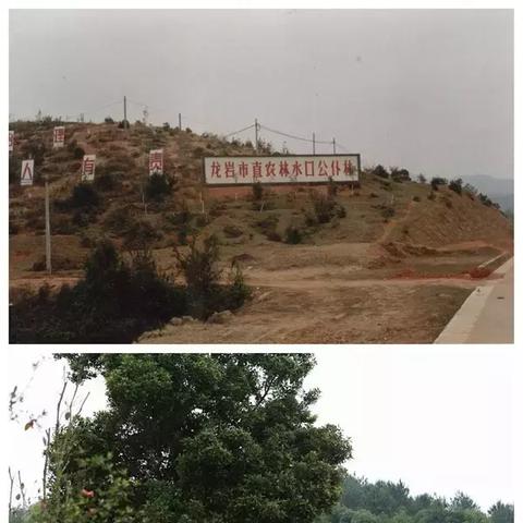 (绿梦生态园全景图)绿梦生态园:探寻自然之美,体验生态之乐,享受绿色梦想之旅 (绿梦生态园全景图)绿梦生态园:探寻自然之美,体验生态之乐,享受绿色梦想之旅